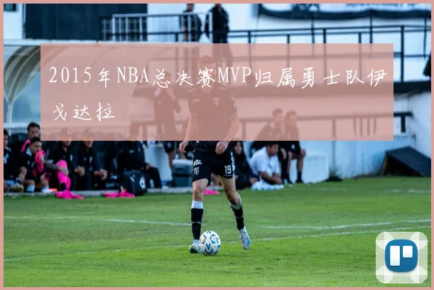 2015年NBA总决赛MVP归属勇士队伊戈达拉